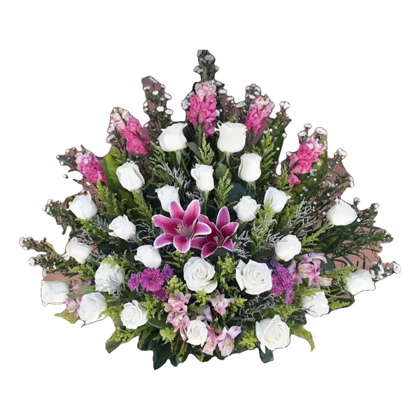 Primavera Blanca